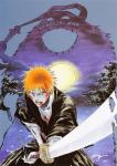 Bleach34