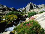 mountains_090