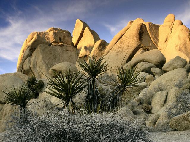 mountains_100