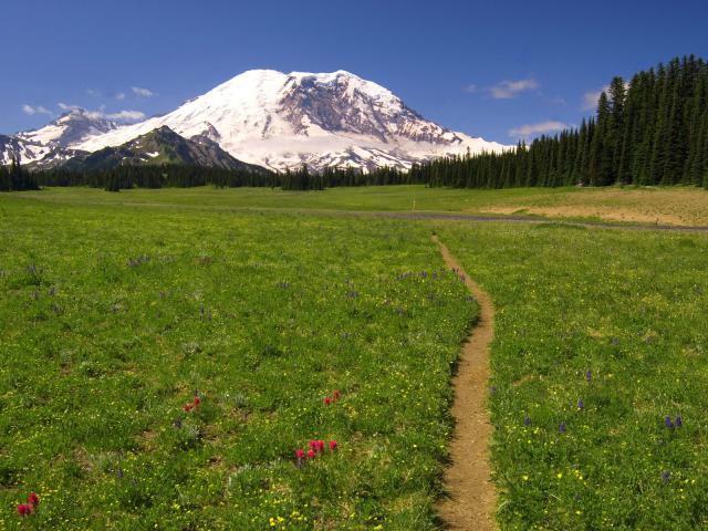 mountains_104