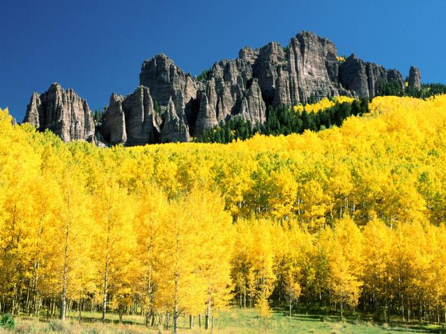 mountains_131