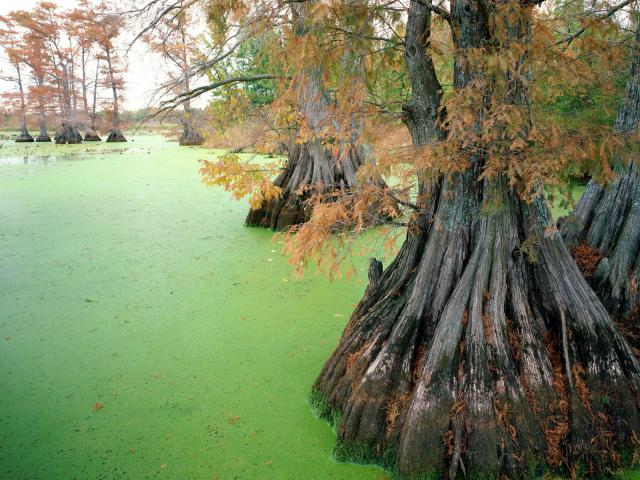 lakes_079