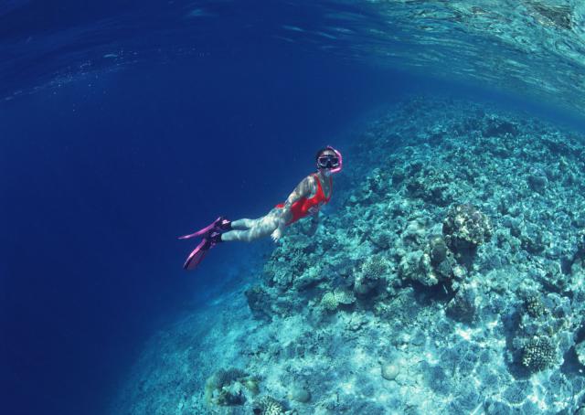 ocean-life-116
