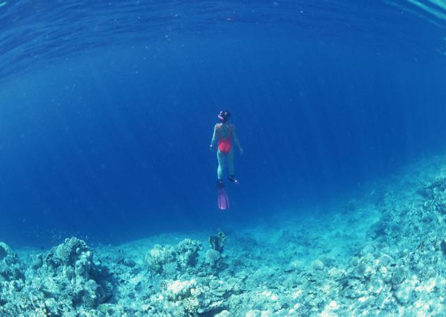 ocean-life-118