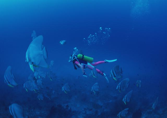 ocean-life-120