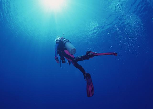 ocean-life-122