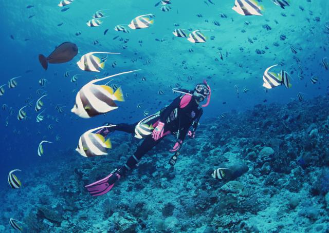 ocean-life-123