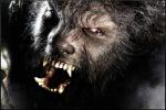 wolfman_03
