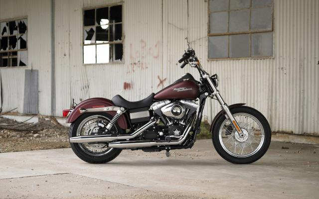 Harley_024