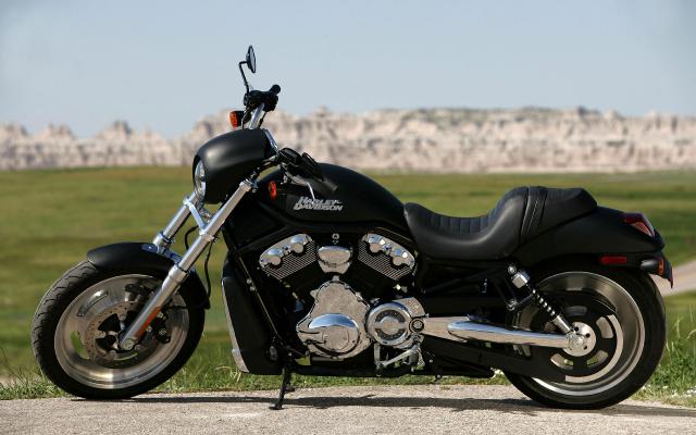 Harley_031