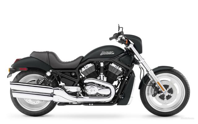 Harley_050