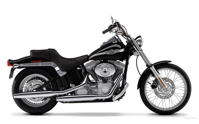 Harley_069