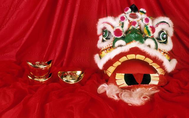 cn_newyear09_053