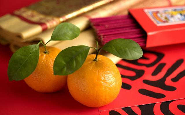 cn_newyear09_072