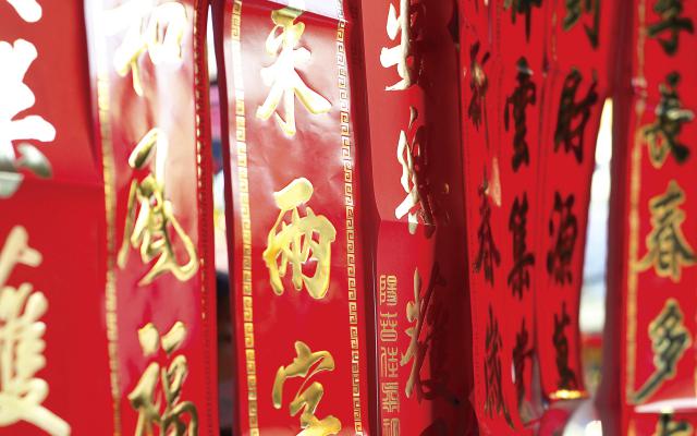 cn_newyear09_113