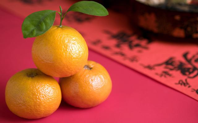 cn_newyear09_128