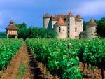 France_050