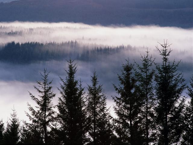 Scotland_018