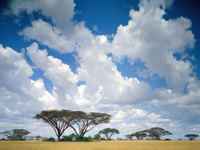 africa_022
