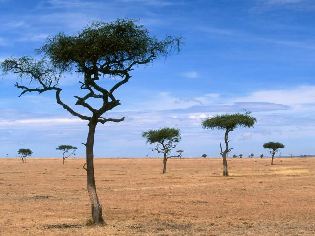africa_030