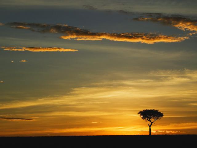 africa_032