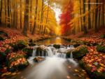 Tree Wallpapers