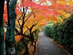 Japan_005
