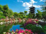 Japan_028