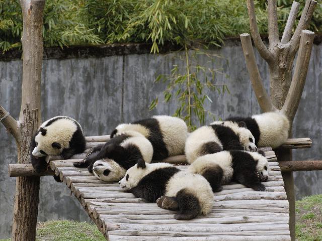 China_004