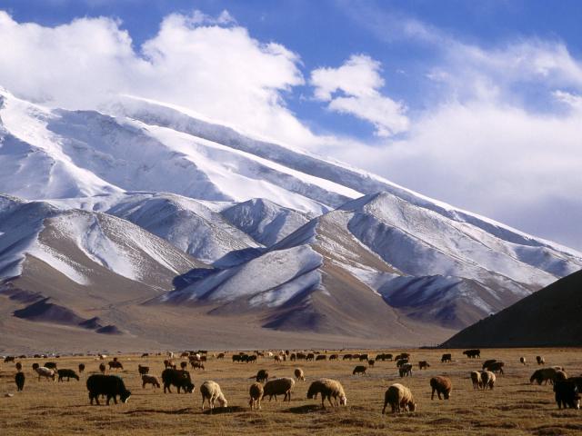 China_031