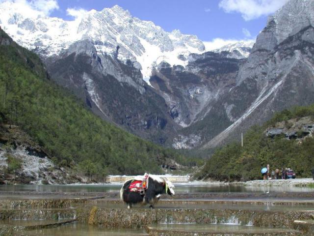 China_036