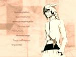 Bleach_064
