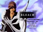 Bleach_095