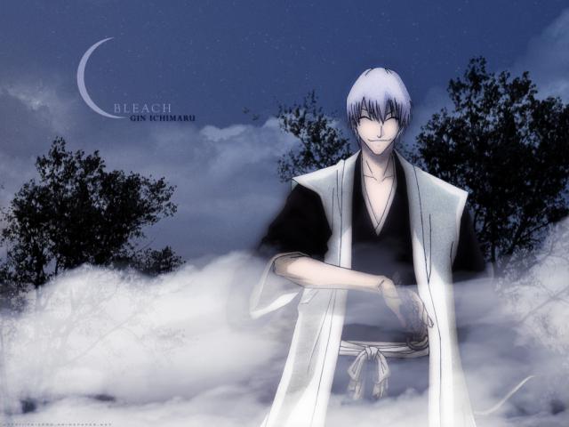 Bleach_161