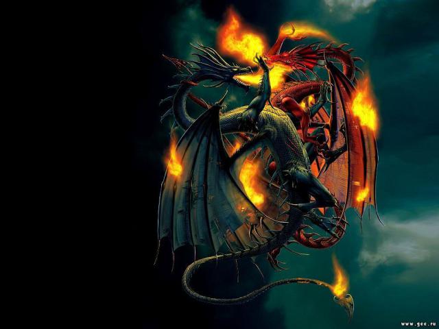 Dragon_003