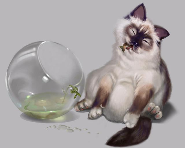cat_102