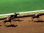 sports_09