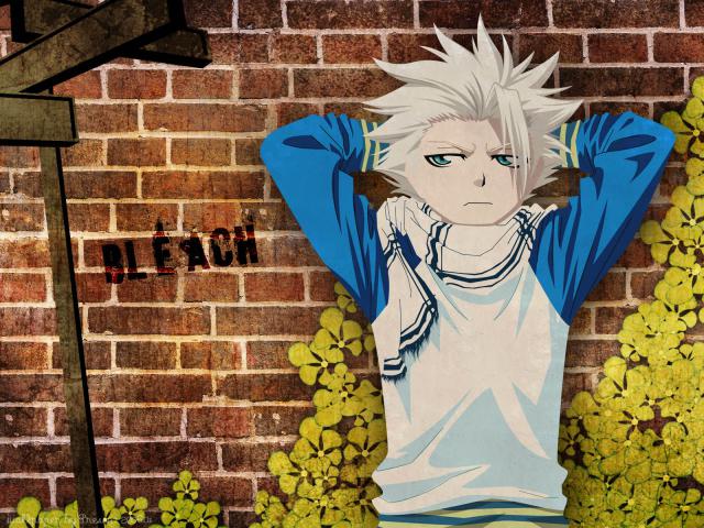 Bleach_168