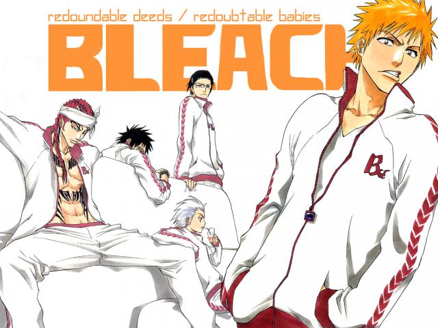 Bleach_210