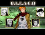 Bleach_219