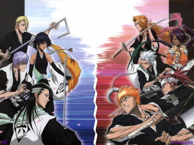 Bleach_222