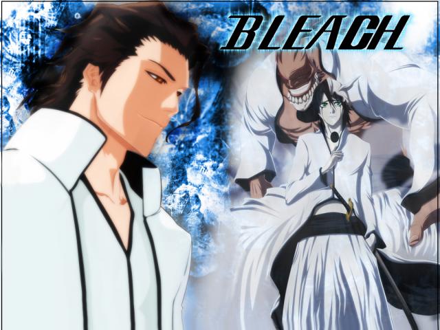 Bleach_232