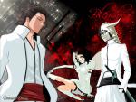 Bleach_235