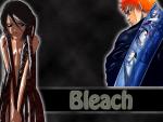 Bleach_240