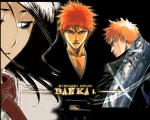 Bleach_246