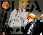 Bleach_247