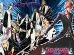 Bleach_259