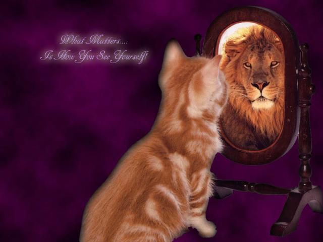 cat_109