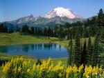 Parks_005