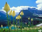 Parks_022